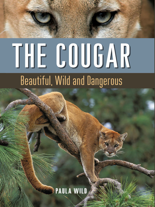 Title details for The Cougar by Paula Wild - Available